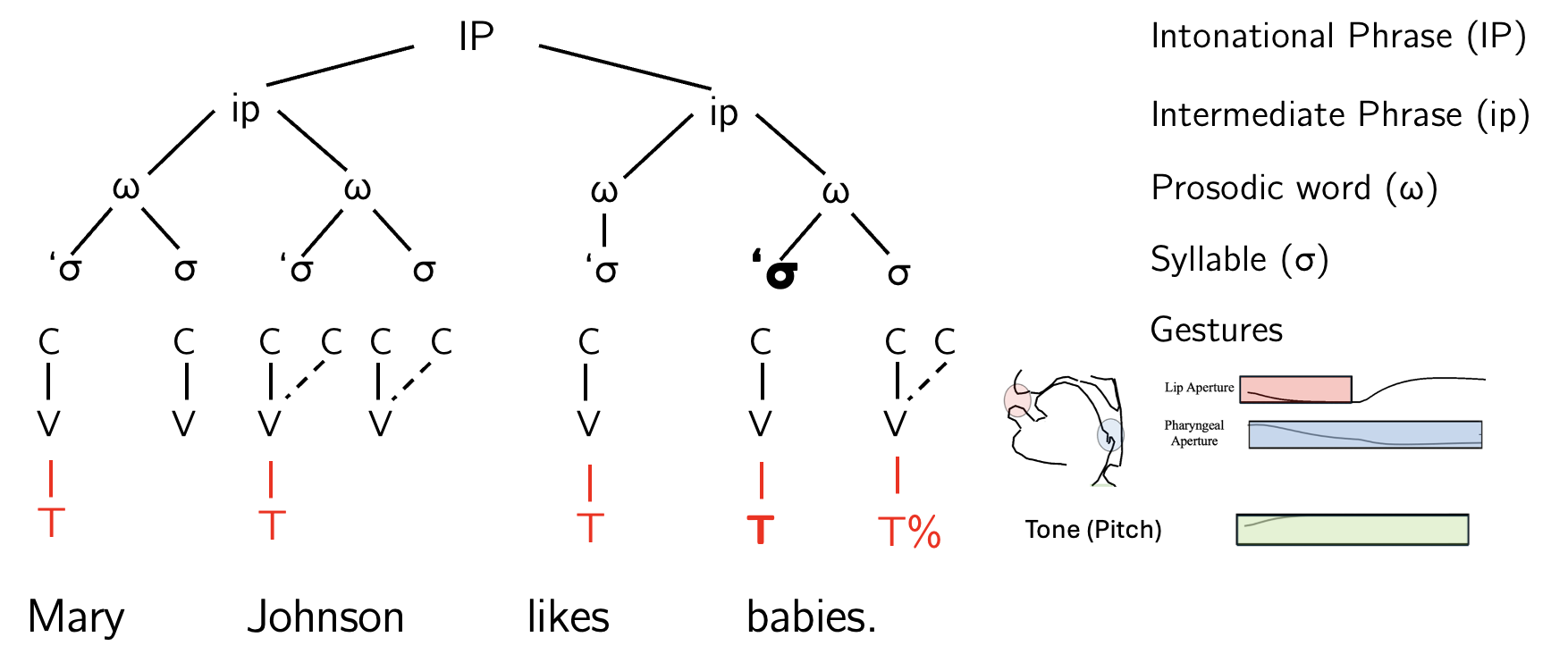 Sentence Intonation Project