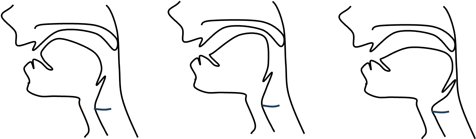 a /i/ u vocal tract shapes